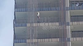 Chinese tourist seen climbing from 26th floor balcony of Hilton hotel in Thailand