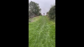 Young rider loses control of balance bike while cycling down steep hill