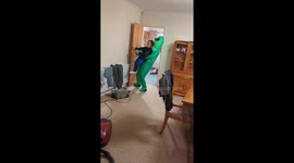 Woman shares hilarious scene of her mom getting 'Abducted' by alien