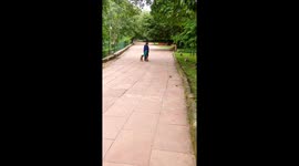 Heroic Rescue: Man Saves Woman from Ferocious Monkey Attack in Park!