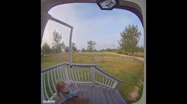 Working mum’s morning video calls with twins melt hearts online