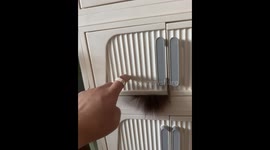 Cat hides in cabinet and surprise its owner in Heilongjiang, China