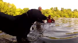 20160825 Puppy swimming in a lake