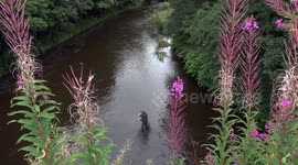 River Kelvin,Glasgow,Scotland at Kelvingrove