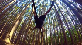 Extreme slacklining in a pine forest