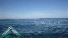 Whale and Kayak