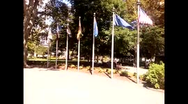 Flags in Washington Square Park