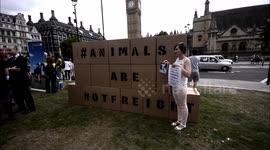 Animals are not freight , demonstration