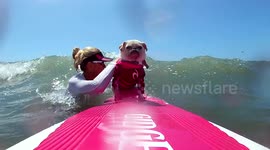 Surf Gidget Rides A Quad