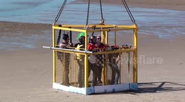 Uk’s only base-jumping festival hits Blackpool prom bank ho;iday monday 2016