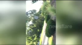 Husband surprises wife with new car and her reaction is amazing