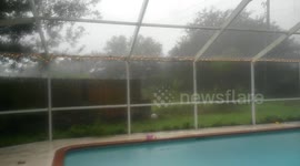 Rain from Hurricane Hermine in Holiday,  Florida in Pasco County