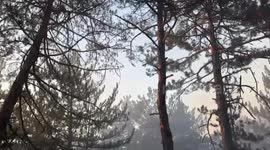 Türkiye aerial and ground crews continue fight against forest fires