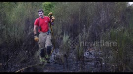 Firefighters tackle wildfire on Wasntead Flats in East London during heatwave
