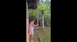 Retractable Patio Cover Doubles as Cocoa Dryer