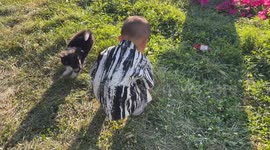 Puppy playfully knocks over little boy in Xinjiang, China