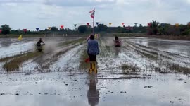 Villagers turn rice field into race track for tractor ploughing contest
