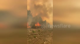 Spain: Massive Forest Fire Devastates Mountains Of Ourense