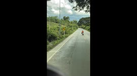 Motorcycle rider swerves dangerously across road before crashing
