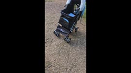 Woman's duck-watch turns hilarious as she falls for son-in-law's fake snake prank