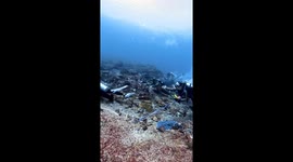 Scuba diver captures wild currents at Komodo’s shotgun dive site, Instagram video surpasses 12 million views