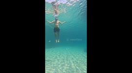 Freediver manages to stand incredibly still on sea floor