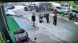 Energetic pet dogs knock woman over as she greets them