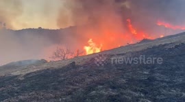 US: Canyon Fire ignites in Southern California