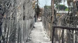 Spain: Wildfires damage homes and vehicles near Madrid