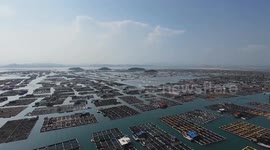 China: Residents, ships evacuated in Fujian for approaching Typhoon Pudol
