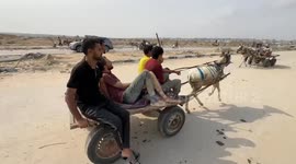 Palestinians in Gaza risk lives for limited aid near Netzarim corridor