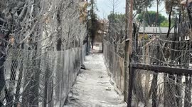 Wildfires damage homes and vehicles near Madrid