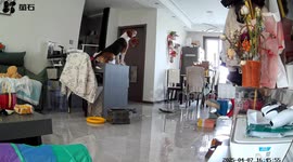 Dog howls like singing before gagging in Ningxia, China