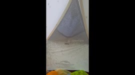 Tent swarmed by mosquitoes in Khanty-Mansi Autonomous Okrug, Russia
