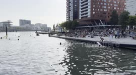 Netherlands activates ‘Heatwave Plan’ as record temperatures expected