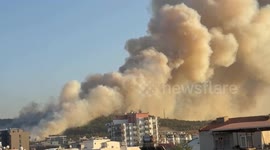 Türkiye: Fire from minibus spreads to forest in western Türkiye