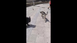 Misión imposible