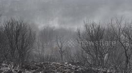Spain: Aftermath of wildfire in Spain