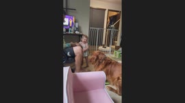 Baby Loves Playing With Her Dog