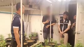 Police find toilet used to produce cannabis-infused jellies after toddler was rushed to hospital from eating them