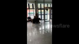 Chaos as wild bear breaks into Tibetan tourist centre, brave staff chase it away