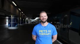 Britain's first railway therapy dog starts work helping anxious passengers