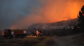 Portugal battles raging wildfires as heatwave and winds intensify blazes
