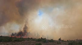 Türkiye: Firefighting efforts underway in northwestern Türkiye forest blaze