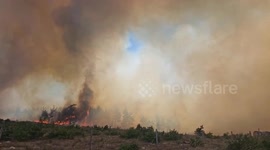Firefighting efforts underway in northwestern Türkiye forest blaze