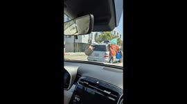 Piles Of Garbage Obstruct Car's View