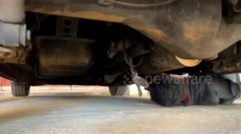 Mechanic rescues cat stuck under car