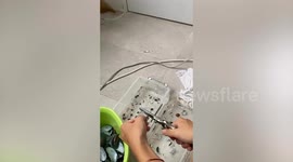 Artist makes beautiful mosaic using mussel shells