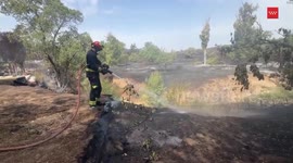 Spain: Tres Cantos Wildfire Near Spanish Capital / 6