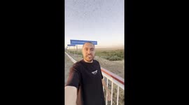 Motorist in Russia stops car to witness locust swarms flying overhead